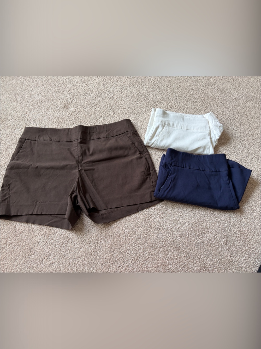 New York & Company Chocolate Brown Stretch Shorts